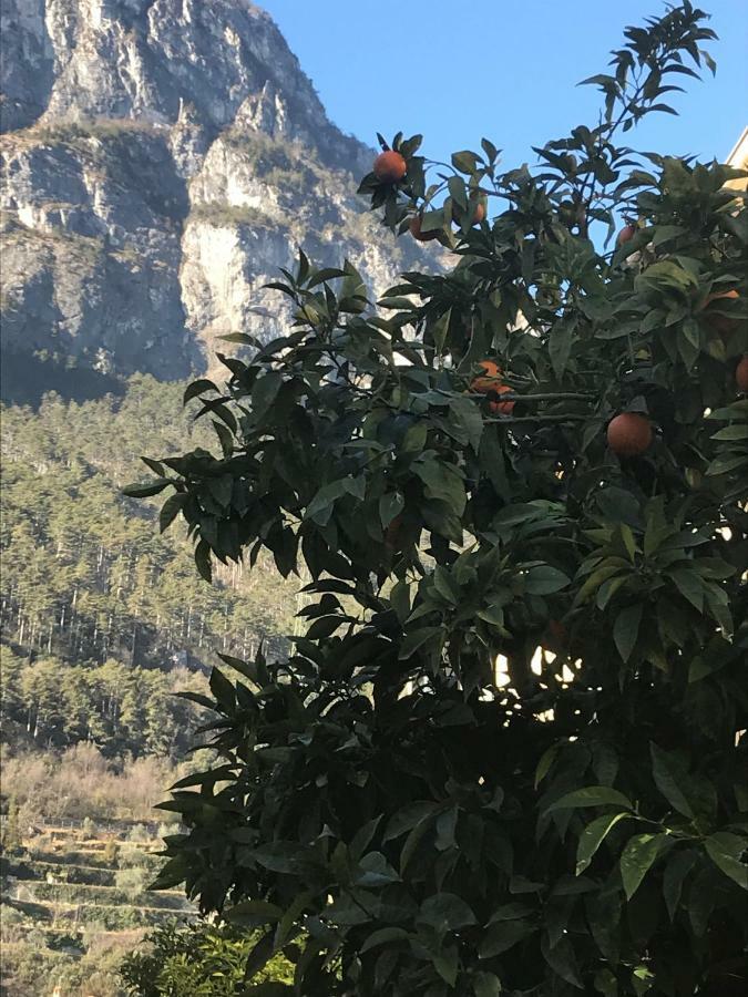 Casa Nika Apartment Riva del Garda Ngoại thất bức ảnh